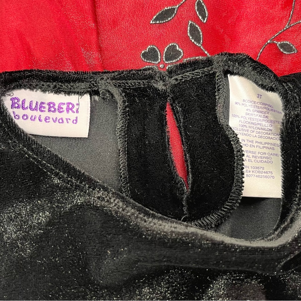 Blueberi Boulevard Black Velvet and Red Floral Fit‎ n Flare Dress - Picture 4 of 5